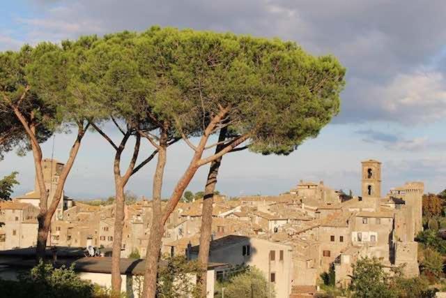 Casa Sermichelino Villa Vitorchiano Bagian luar foto